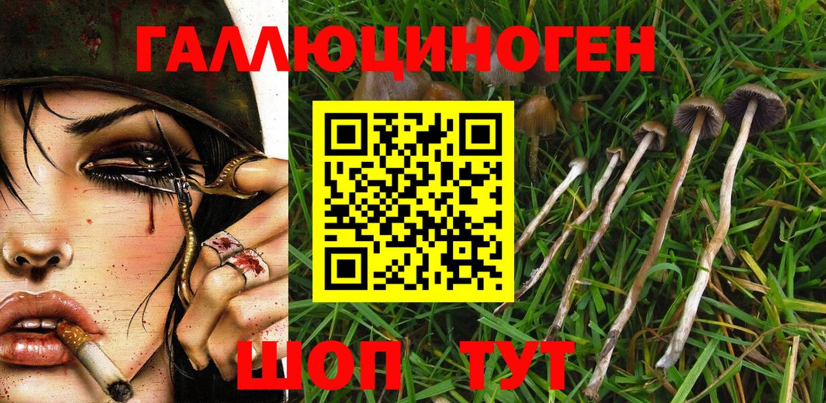 Галлюциногенные грибы GOLDEN TEACHER Уварово