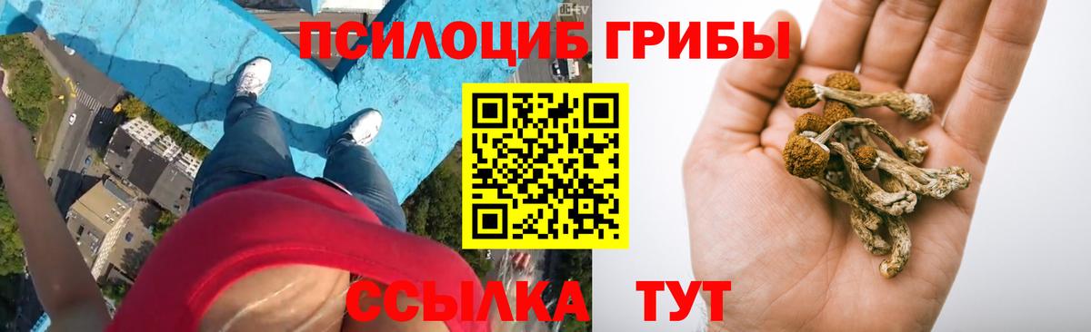Псилоцибиновые грибы Psilocybine cubensis  Вход с VPN  Уварово  Галлюциногенные грибы Magic Shrooms 